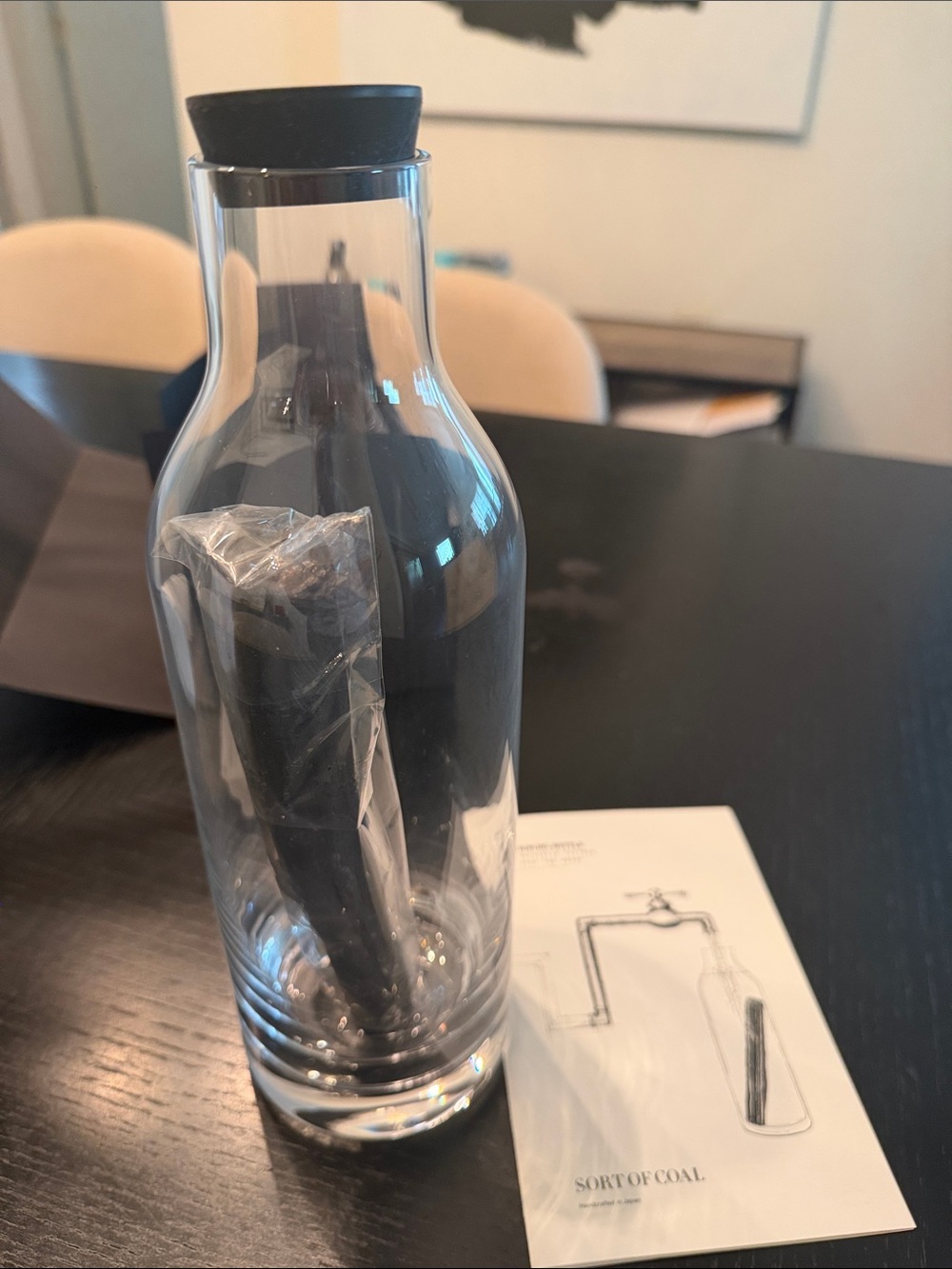 NWT Sort of Coal - Bincho Bottle Naturally Filters your tap water